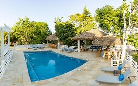 Blue Paloma Bed & Breakfast